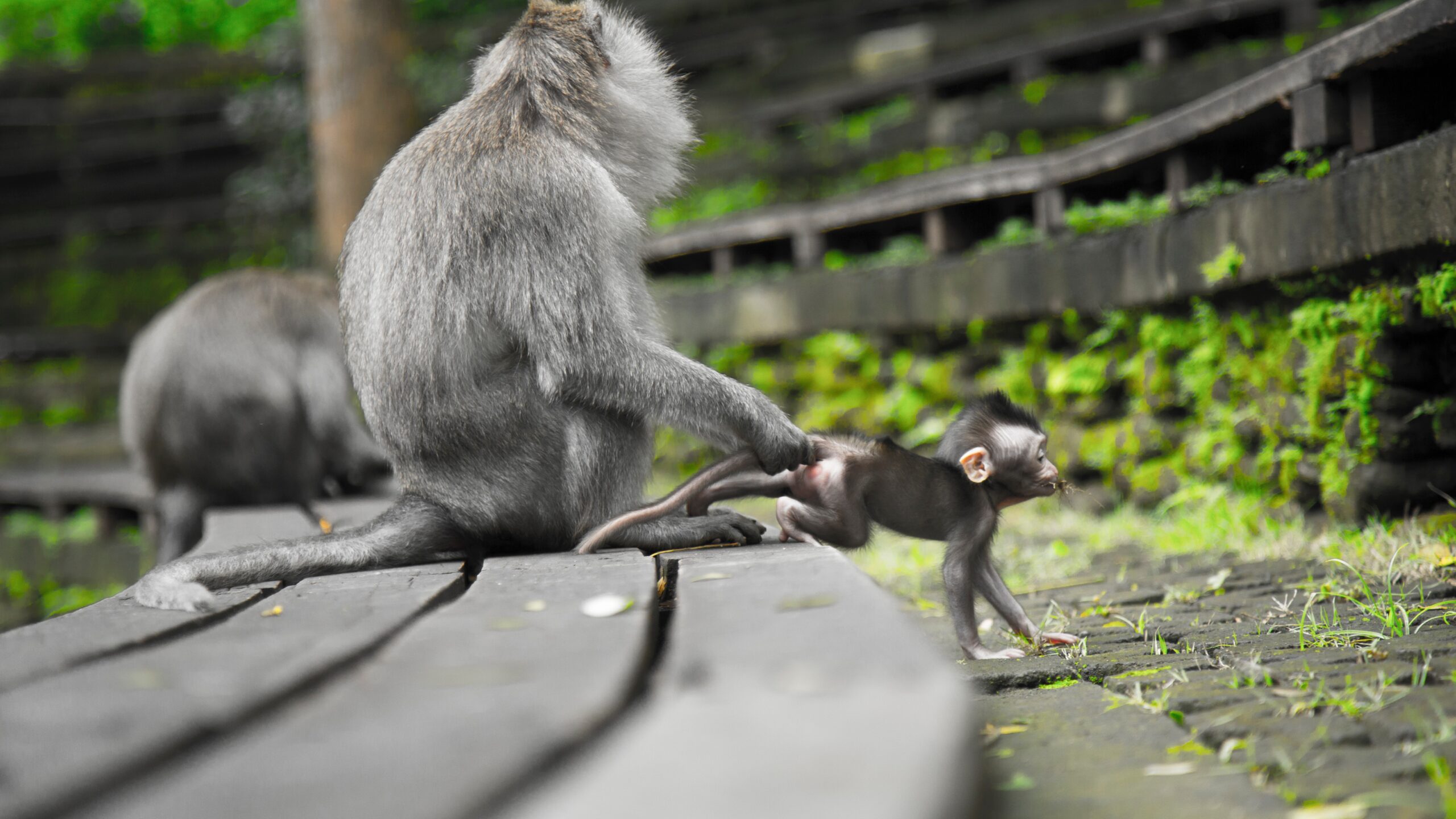 Second Guessing Parenting