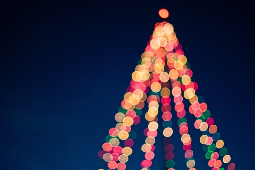 Guarendi Family Christmas Letter