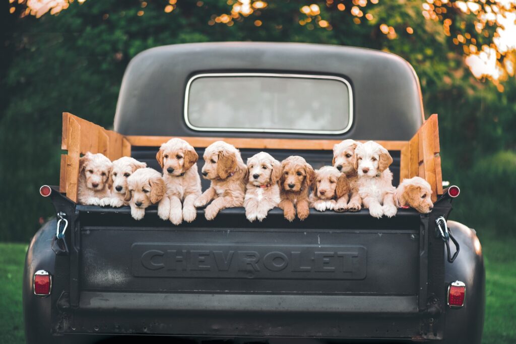 Which kid do you love most?