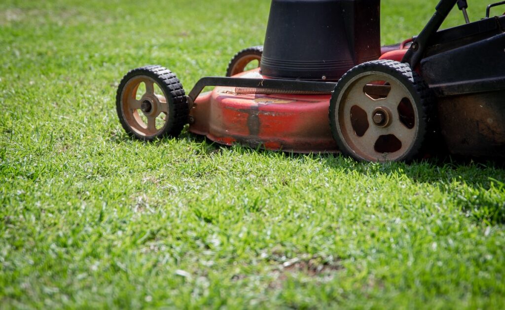 God & St. Francis Discuss Mowing the Lawn