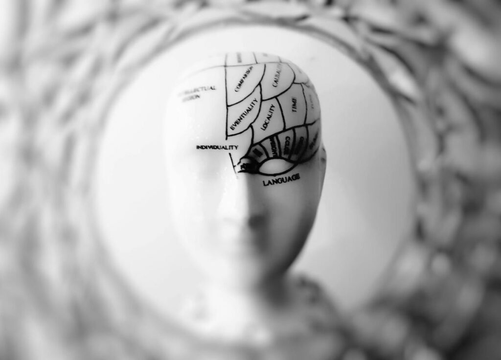 The Mind-Shaping Power of the Culture