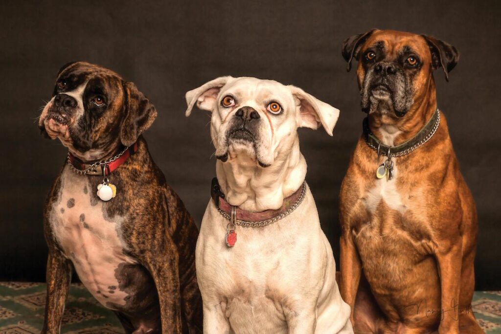 The Myth of the Middle Child Syndrome